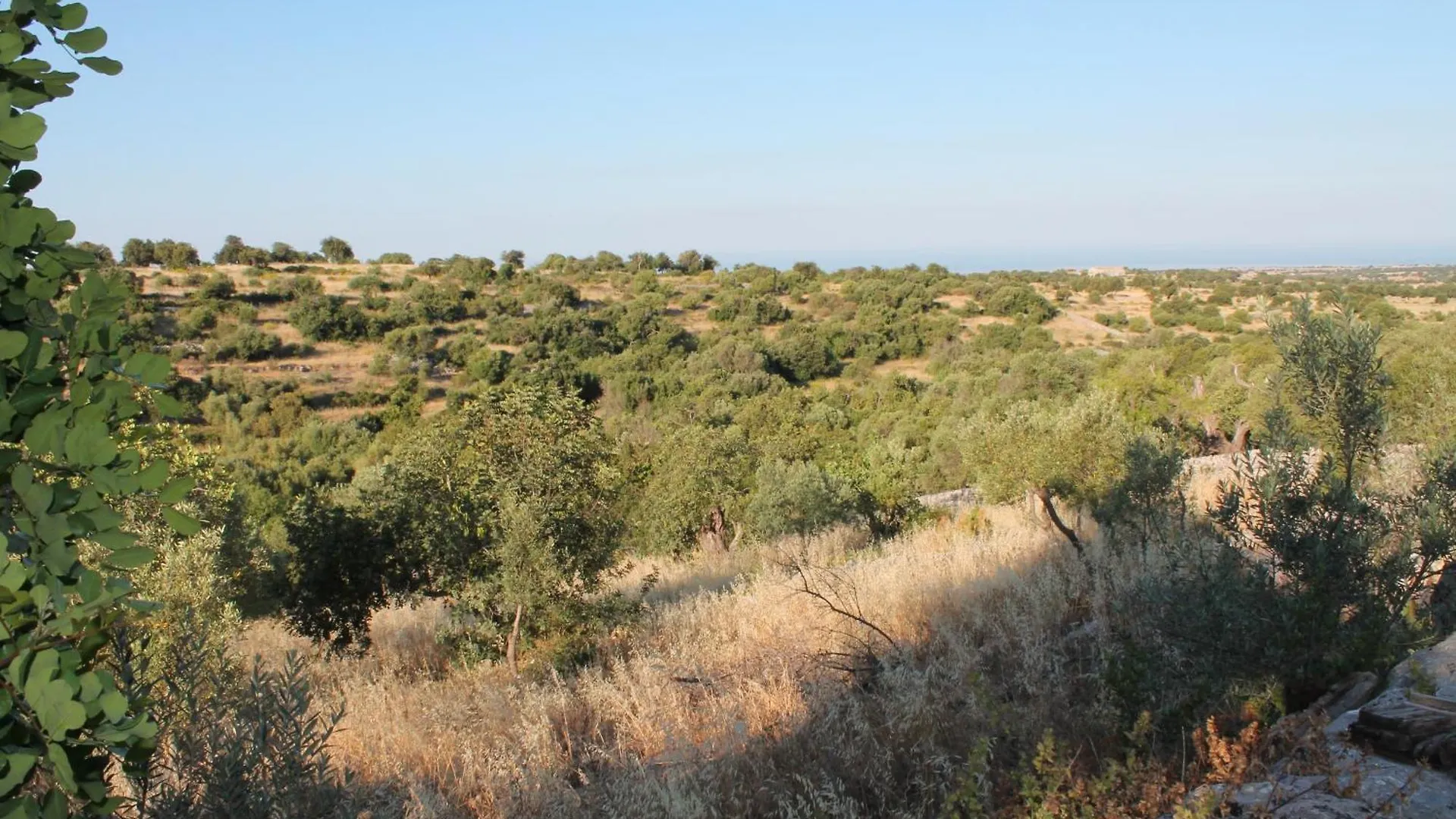 Tenuta Zannafondo Donnafugata Country house