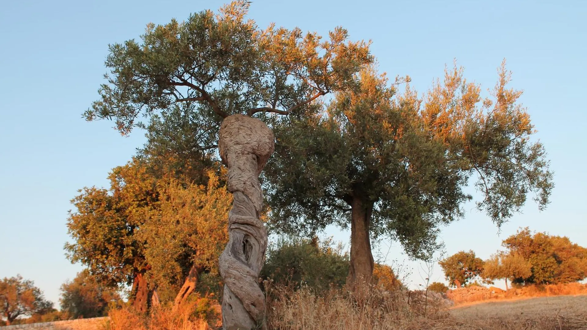Tenuta Zannafondo Donnafugata Country house