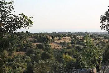Tenuta Zannafondo Donnafugata 0*,