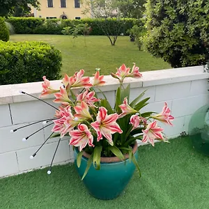 https://galleno-house.it-tuscanyhotel.com